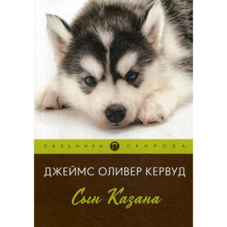 Зарубежная современная проза, книга Сын Казана купить по низкой цене