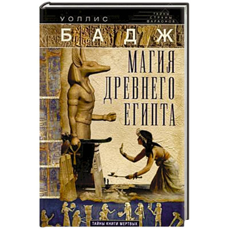 Всемирная история, книга Магия Древнего Египта. Тайны Книги мертвых купить по низкой цене
