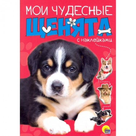Конструирование из бумаги, книга БРОШЮРА С НАКЛЕЙКАМИ. МОИ ЧУДЕСНЫЕ ЩЕНЯТА купить по низкой цене