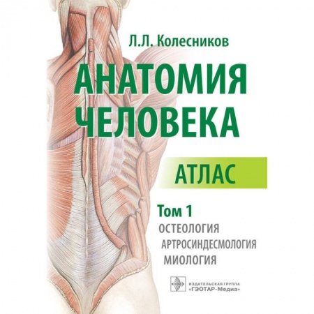 Медицинские энциклопедии и справочники, книга Анатомия человека. Атлас в 3-х томах. Том 1. Остеология, артросиндесмология, миология купить по низкой цене