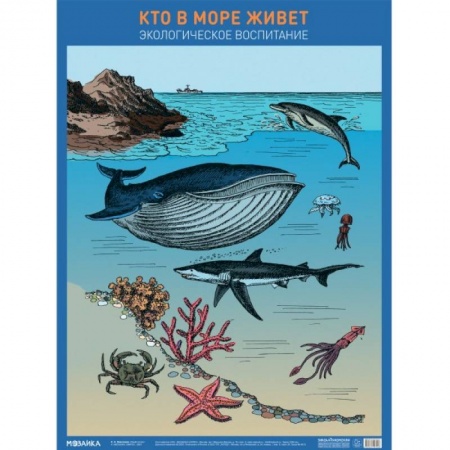 Животный и растительный мир, книга Кто в море живет купить по низкой цене