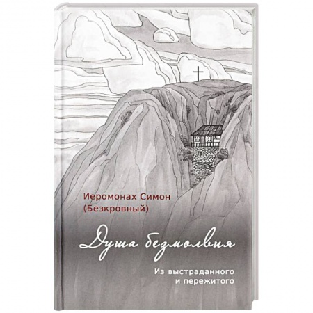 Духовная литература, книга Душа безмолвия. Из выстраданного и пережитого купить по низкой цене