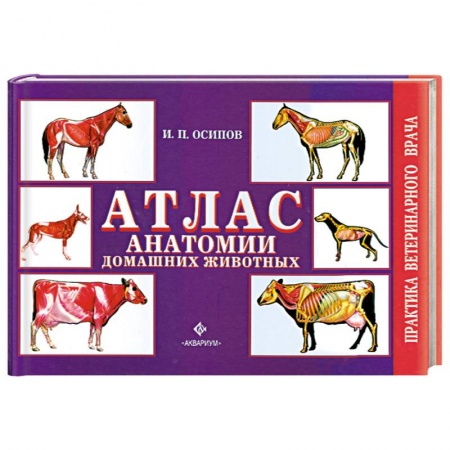 Книги, книга Атлас анатомии домашних животных купить по низкой цене