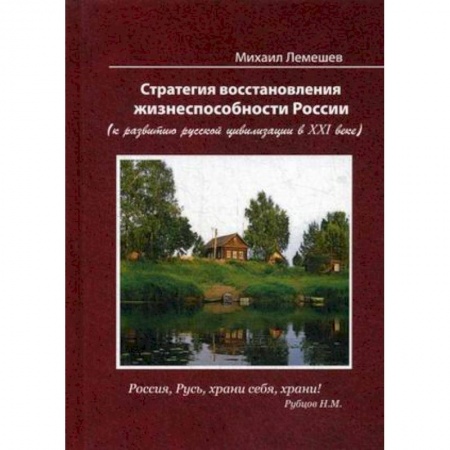 Публицистика, книга Стратегия восстановления жизнеспособности России. К развитию русской цивилизации в ХХI веке купить по низкой цене