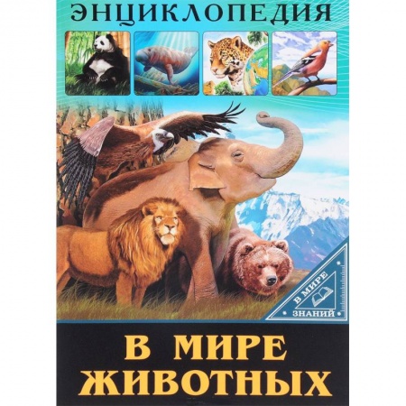 Животный и растительный мир, книга В мире животных купить по низкой цене