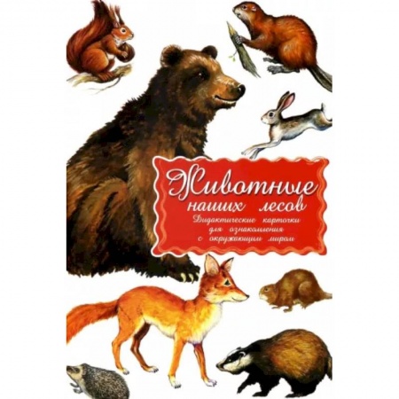 Животный и растительный мир, книга Дидактические карточки. Животные наших лесов купить по низкой цене