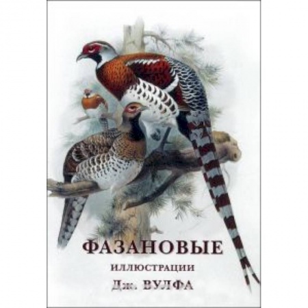 Книги, книга Фазановые (набор из 15 открыток) купить по низкой цене