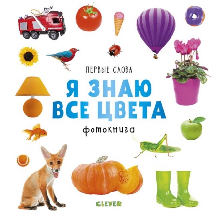 Знакомство с миром, развитие малыша, книга Первые слова. Я знаю все цвета. Фотокнига купить по низкой цене