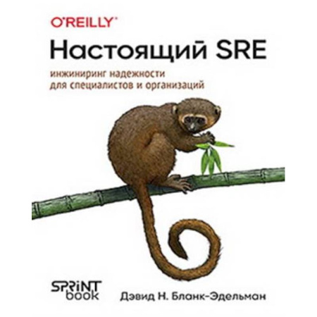 Информационные технологии, книга Настоящий SRE: инжиниринг надежности для специалистов и организаций купить по низкой цене