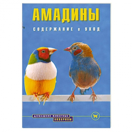 Книги, книга Амадины купить по низкой цене