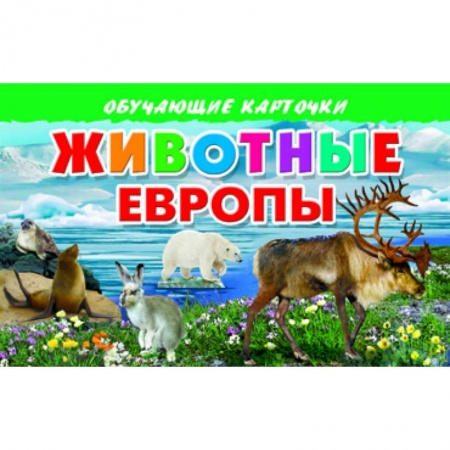 Книги, книга Карточки. Животные Европы купить по низкой цене