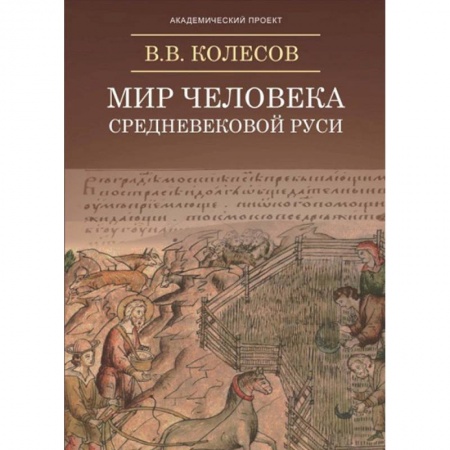 Филологические науки в целом. Частные филологии, книга Мир человека средневековой Руси купить по низкой цене