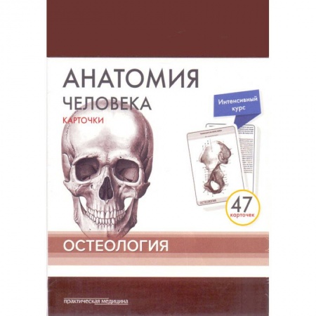 Медицинские энциклопедии и справочники, книга Анатомия человека. Остеология (47 карточек) купить по низкой цене