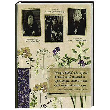 Старец Божий шел дорогой….