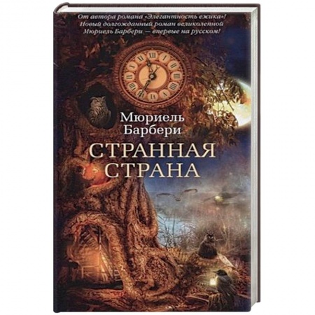 Зарубежное фэнтези, книга Странная страна купить по низкой цене