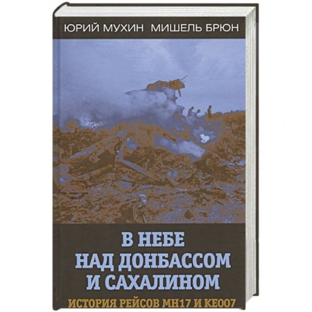 Политика, книга В небе над Донбассом и Сахалином. История рейсов.. купить по низкой цене