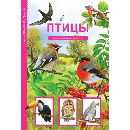 Книги, книга Птицы. Школьный путеводитель купить по низкой цене