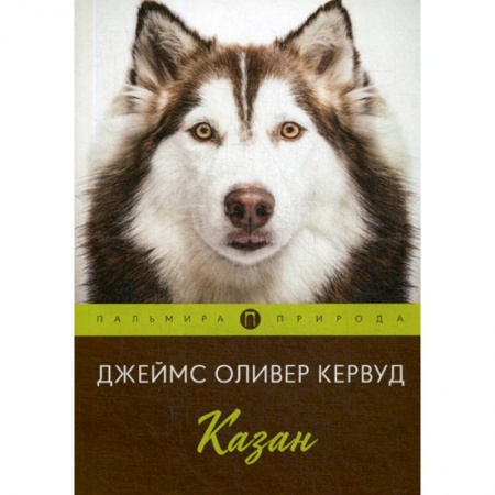 Зарубежная современная проза, книга Казан купить по низкой цене