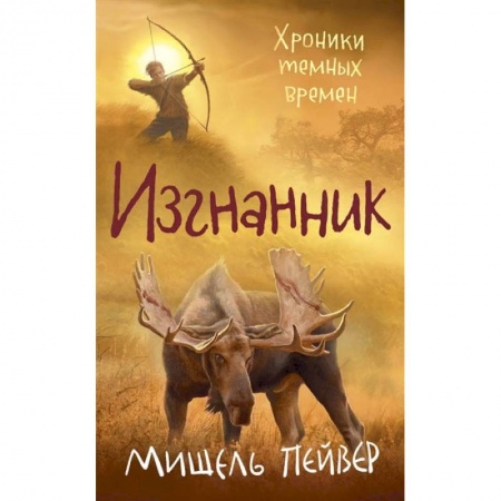 Детская фантастика, фэнтези, книга Хроники темных времен.Кн.4.Изгнанник купить по низкой цене