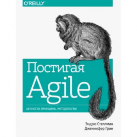 Компьютеры и программы, книга Постигая Agile. Ценности, принципы, методологии купить по низкой цене