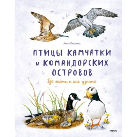 Общие справочники, книга Птицы Камчатки и Командорских островов. Где найти и как узнать купить по низкой цене