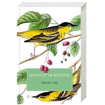 Зарубежная классика, книга Джейн Эйр купить по низкой цене