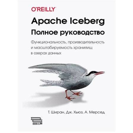 Разработка приложений для баз данных, книга Apache Iceberg. Полное руководство купить по низкой цене