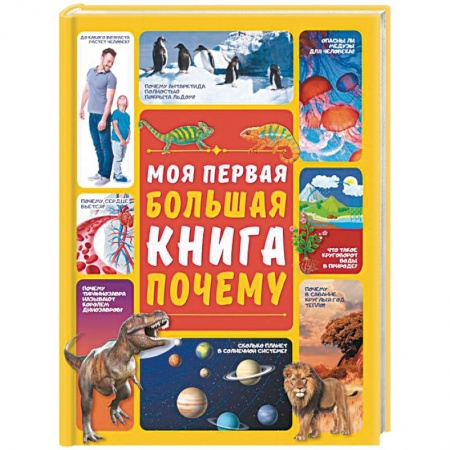 Все обо всем. Универсальные энциклопедии, книга Моя первая большая книга ПОЧЕМУ купить по низкой цене