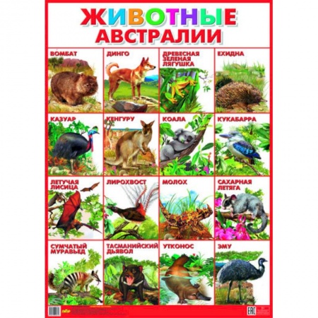 Книги, книга Плакат. Животные Австралии (550х770) купить по низкой цене