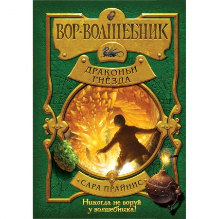 Мистика. Фантастика. Фэнтези, книга Вор-волшебник. Драконьи гнёзда купить по низкой цене