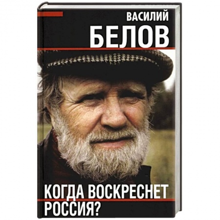 Общество, книга Когда воскреснет Россия? купить по низкой цене