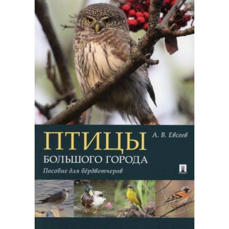 Зоология, книга Птицы большого города купить по низкой цене