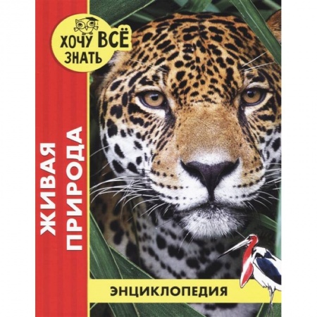 Животный и растительный мир, книга Хочу все знать. Живая природа купить по низкой цене