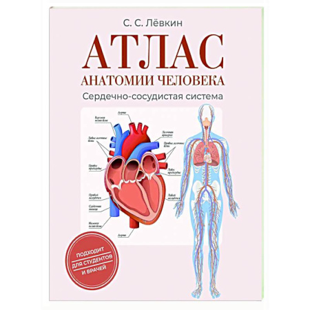 Анатомия и физиология человека, книга Атлас анатомии человека. Сердечно-сосудистая система купить по низкой цене