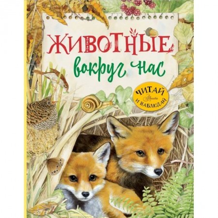 Животный и растительный мир, книга Животные вокруг нас купить по низкой цене