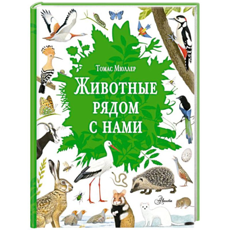 Животный и растительный мир, книга Животные рядом с нами купить по низкой цене