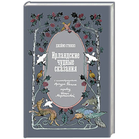 Эпос. Фольклор. Мифы, книга Ирландские чудные сказания купить по низкой цене