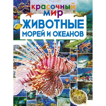 Животный и растительный мир, книга Животные морей и океанов купить по низкой цене