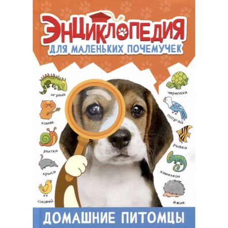 Животный и растительный мир, книга Домашние питомцы купить по низкой цене