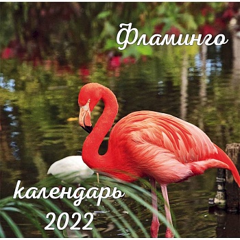Фламинго. Календарь настенный на 2022 год