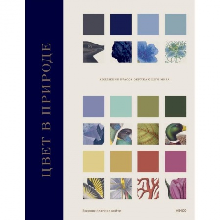 Живопись, книга Цвет в природе. Коллекция красок окружающего мира купить по низкой цене