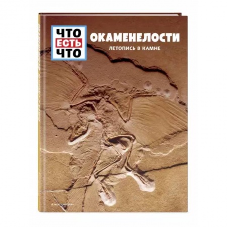 Человек. Земля. Вселенная, книга Окаменелости. Летопись в камне купить по низкой цене