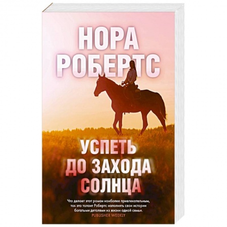 Зарубежный детектив, книга Успеть до захода солнца купить по низкой цене