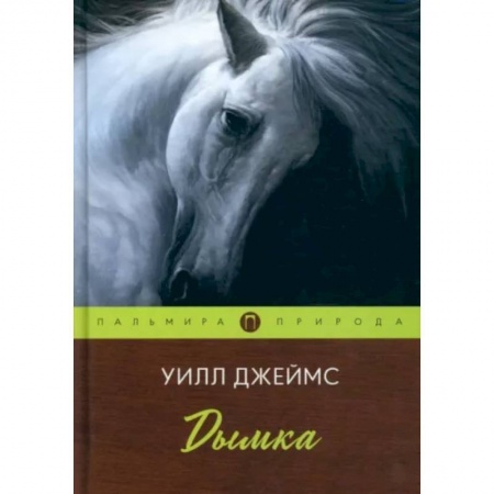 Зарубежная классика, книга Дымка купить по низкой цене