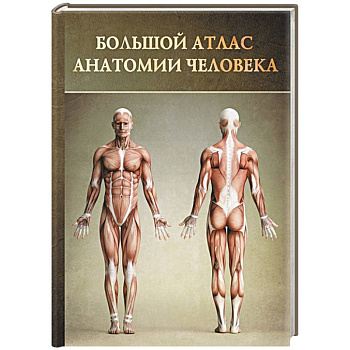 Большой атлас анатомии человека