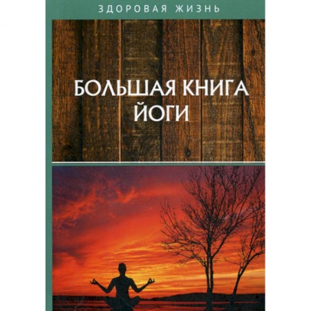 Йога и другие духовные практики, течения, книга Большая книга йоги купить по низкой цене