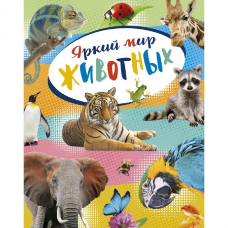 Животный и растительный мир, книга Яркий мир животных купить по низкой цене