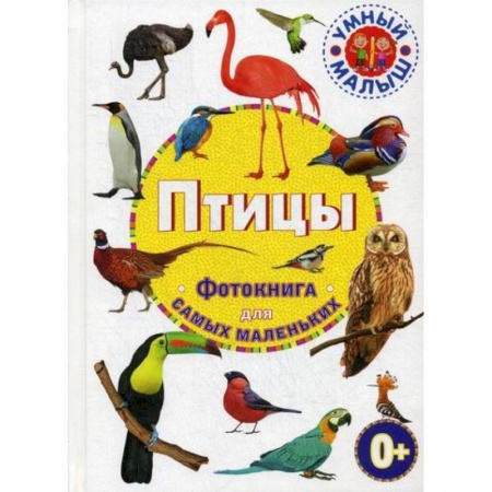 Животный и растительный мир, книга Птицы купить по низкой цене