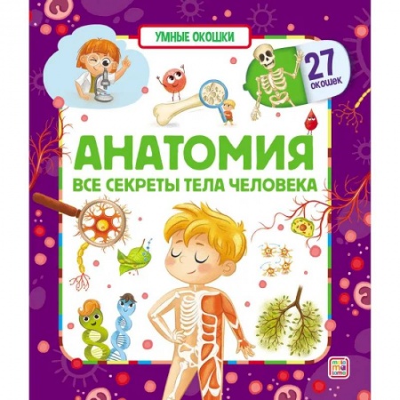 Прочие книжки-игрушки, книга Умные окошки. Анатомия купить по низкой цене