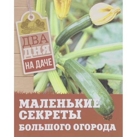 Общие работы по садоводству, книга Маленькие секреты большого огорода купить по низкой цене